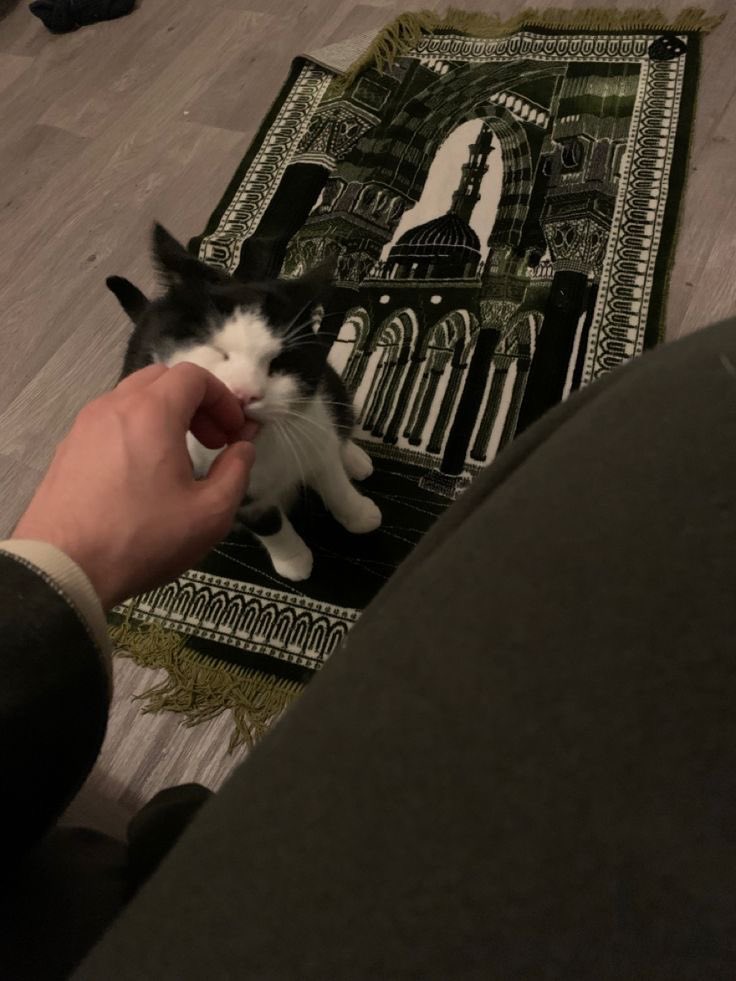 “Misafiriz, 
alışmayın..”