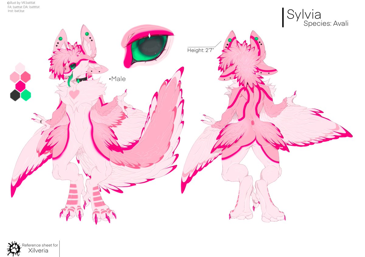 Xilveria tweet media