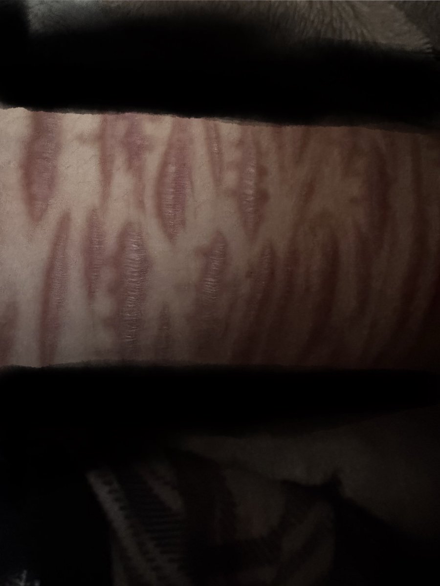 xyx 🪒 tweet media