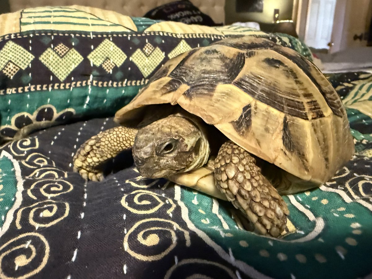 Andrew Ehrenreich tweet media