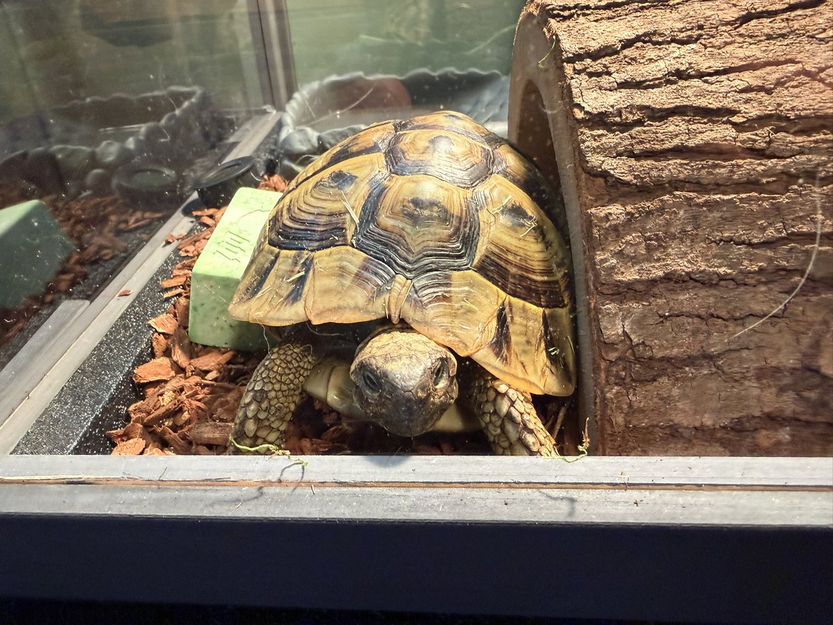 Andrew Ehrenreich tweet media