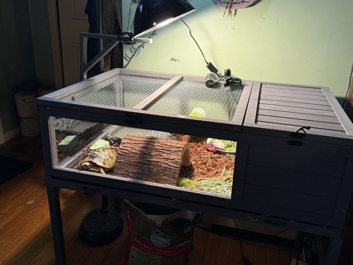 Andrew Ehrenreich tweet media