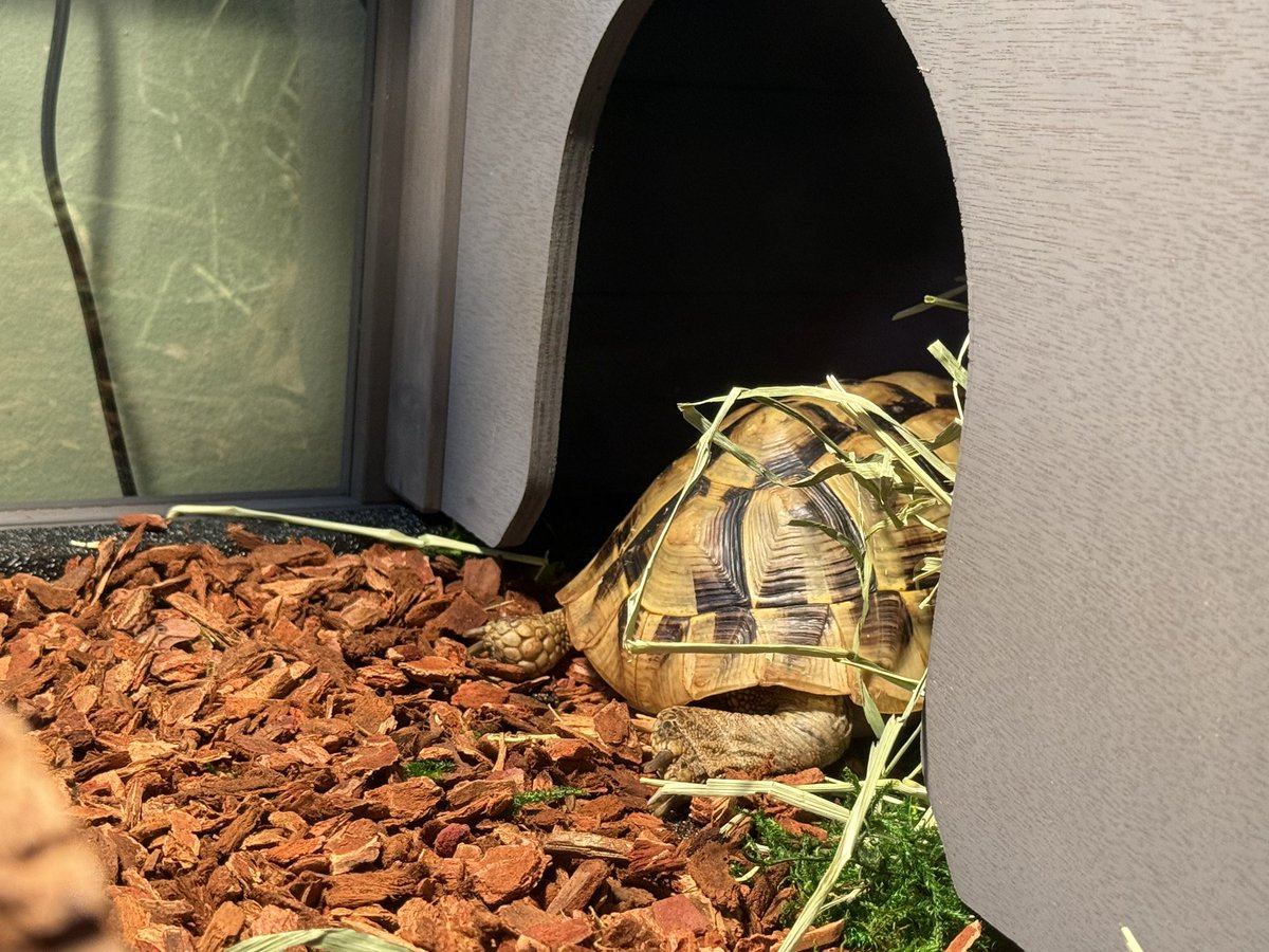 Andrew Ehrenreich tweet media