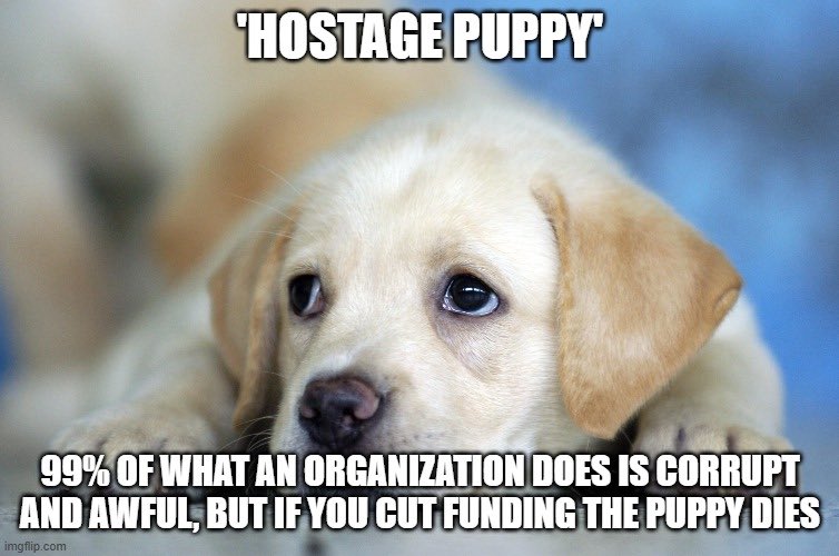 Not Sure tweet media