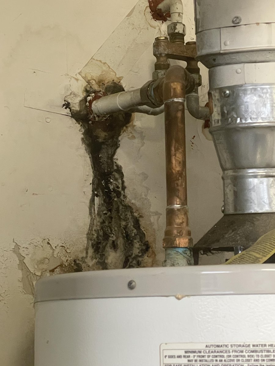 RDU_WaterDamage's tweet image. Hidden leaks can cause serious #damage, #odors, and #mold. 1-800 WATER DAMAGE N.W. Triangle Area offers fast #WaterExtraction &amp;amp; #BurstPipe repair—removing #water &amp;amp; full drying services.

#MoldRemediation #WaterRestoration #Smoke #Restoration #WaterDamage #RaleighNC #DurhamNC