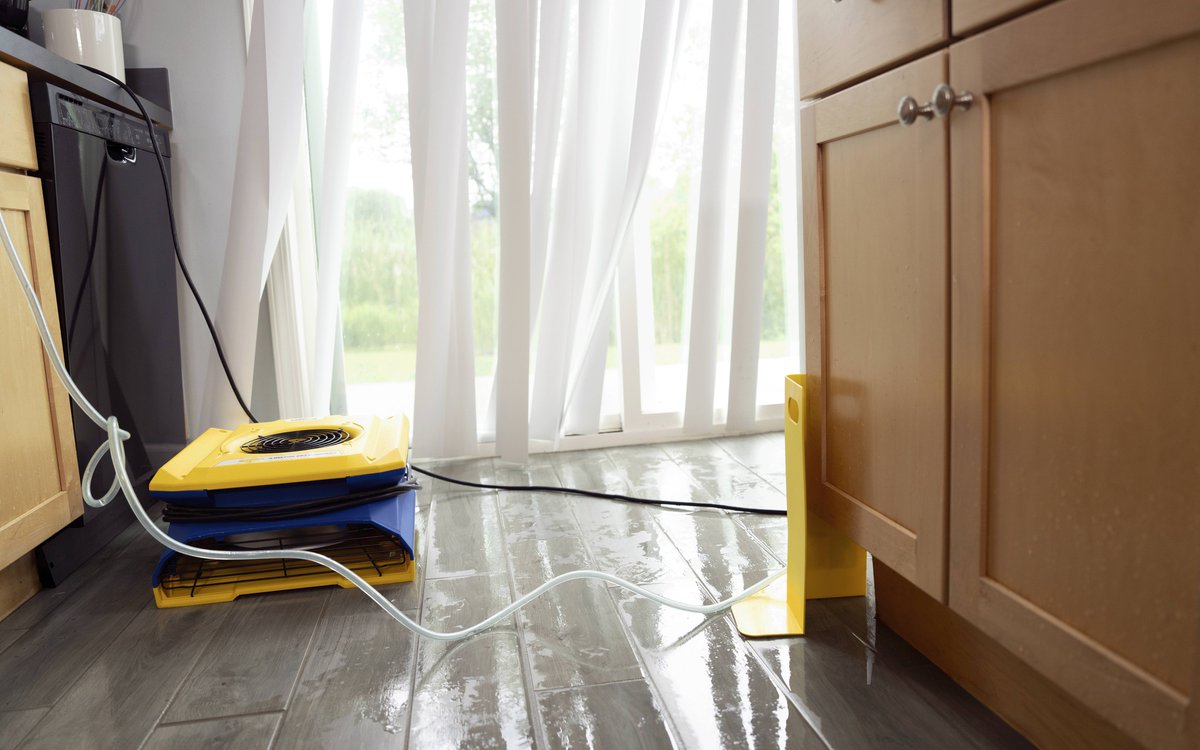 RDU_WaterDamage's tweet image. Hidden leaks can cause serious #damage, #odors, and #mold. 1-800 WATER DAMAGE N.W. Triangle Area offers fast #WaterExtraction &amp;amp; #BurstPipe repair—removing #water &amp;amp; full drying services.

#MoldRemediation #WaterRestoration #Smoke #Restoration #WaterDamage #RaleighNC #DurhamNC
