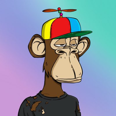 Hash🦉 tweet media