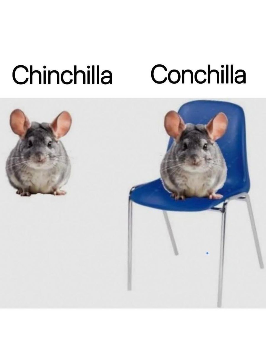 Tadeo Cámara 🐦 tweet media