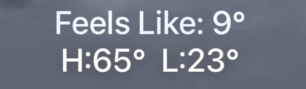 Grant Lammi tweet media