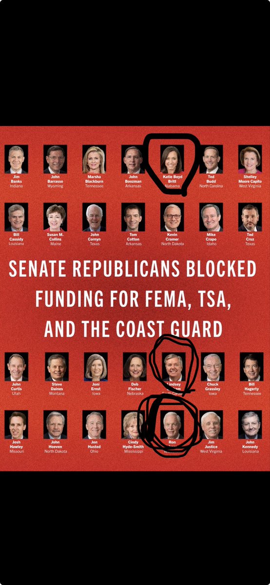 JoeyBonanno tweet media