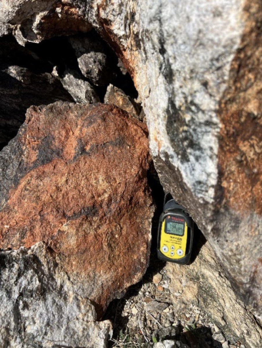 The Fox Radar tweet media