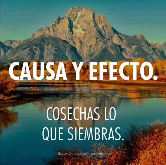 manuelmalvo's tweet photo. Causa y efecto https://t.co/l4D8DvTw7v