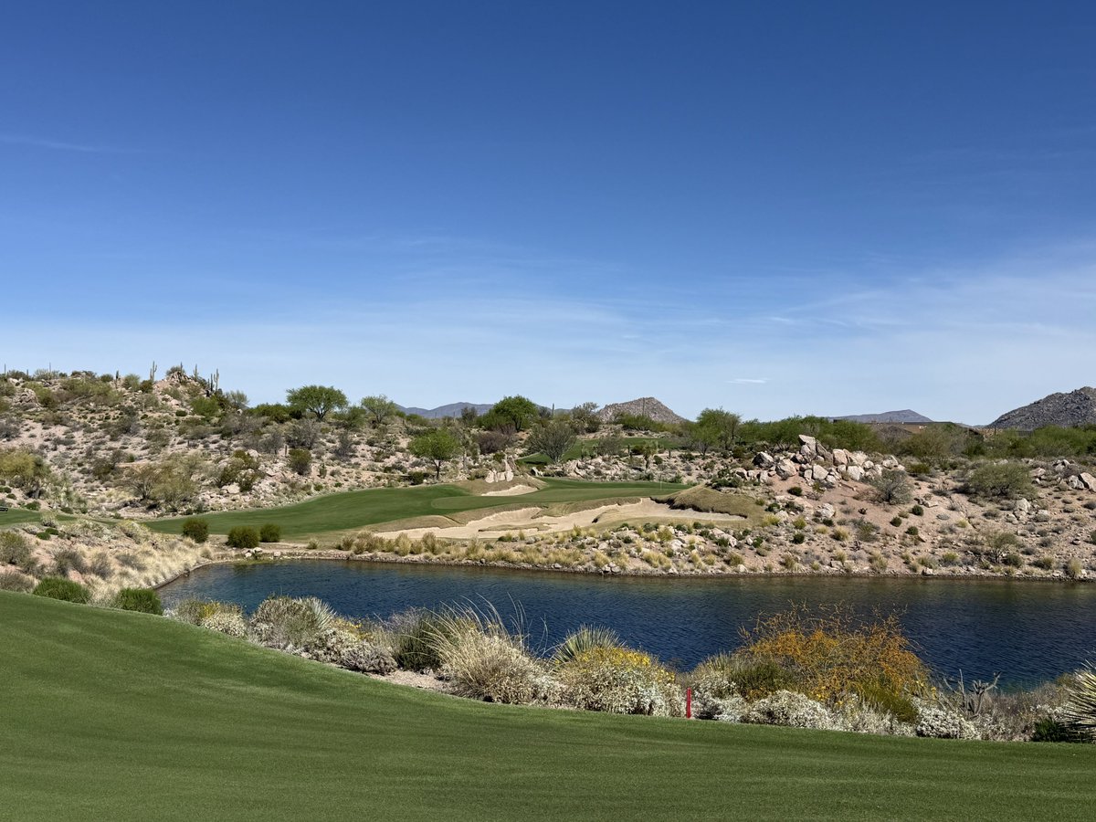 Bendelow Greens tweet media