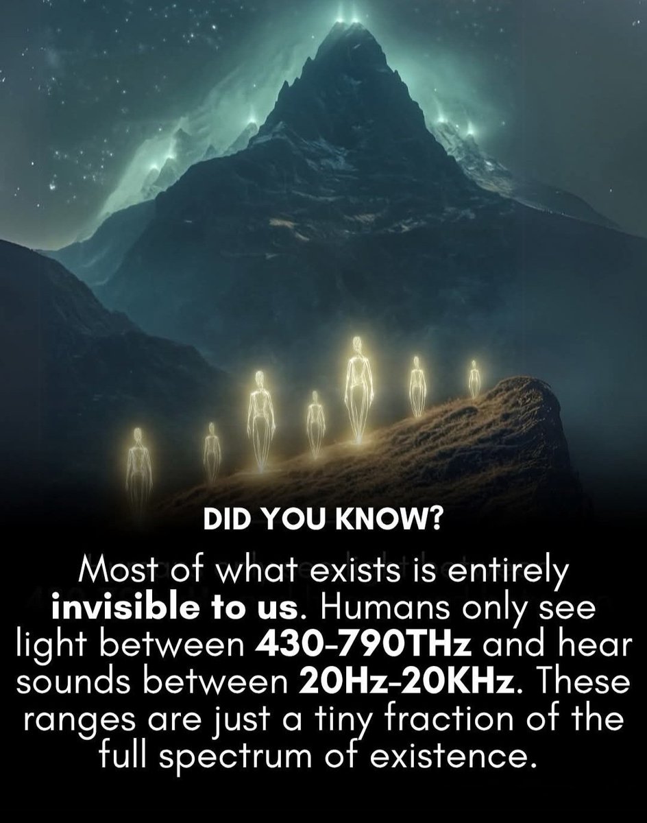 Night Sky Now tweet media