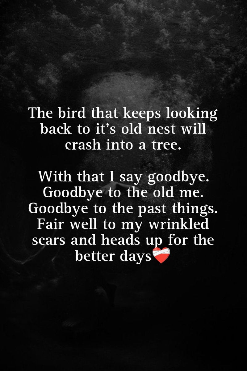 r3hi_r3hi's tweet photo. The bird that keeps looking back to it's old nest will crash into a tree.

With that I say goodbye.
Goodbye to the old me.
Goodbye to the past things.
Farewell to my wrinkled scars and heads up for the better days❤️‍🩹

#Poethon: A Writer's Journey 
Day 104🧠 https://t.co/9UIdlAKTVU