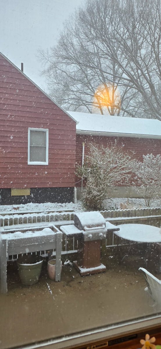 Tyler Berry tweet media