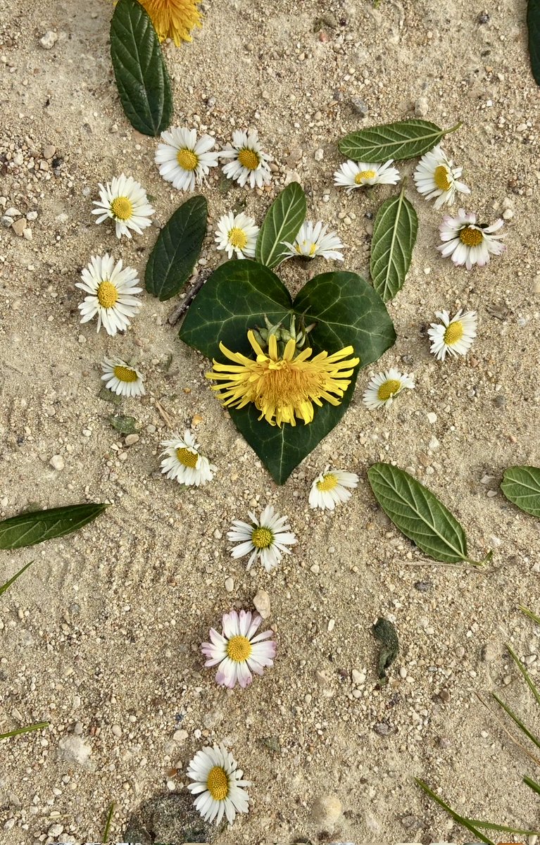 Brigitte Fleurot tweet media