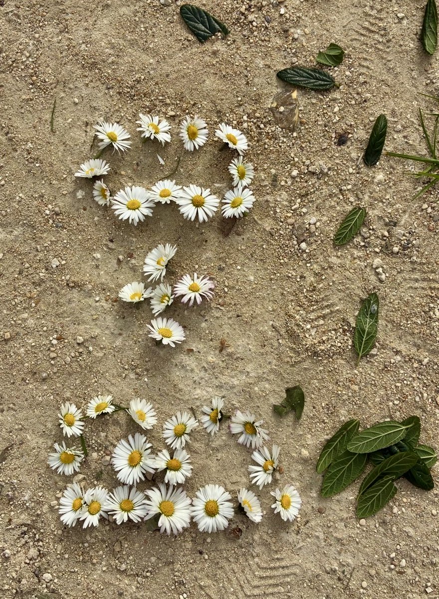 Brigitte Fleurot tweet media