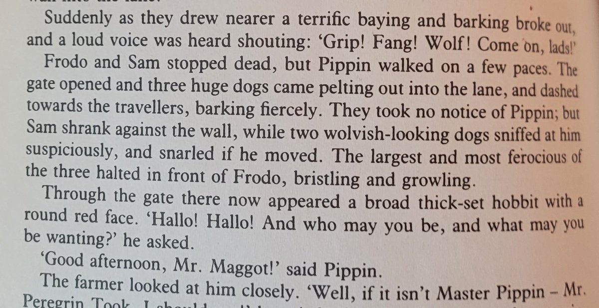 Poaster Fluffhead tweet media