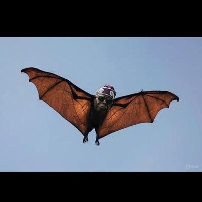 LITEUP 💡 tweet media