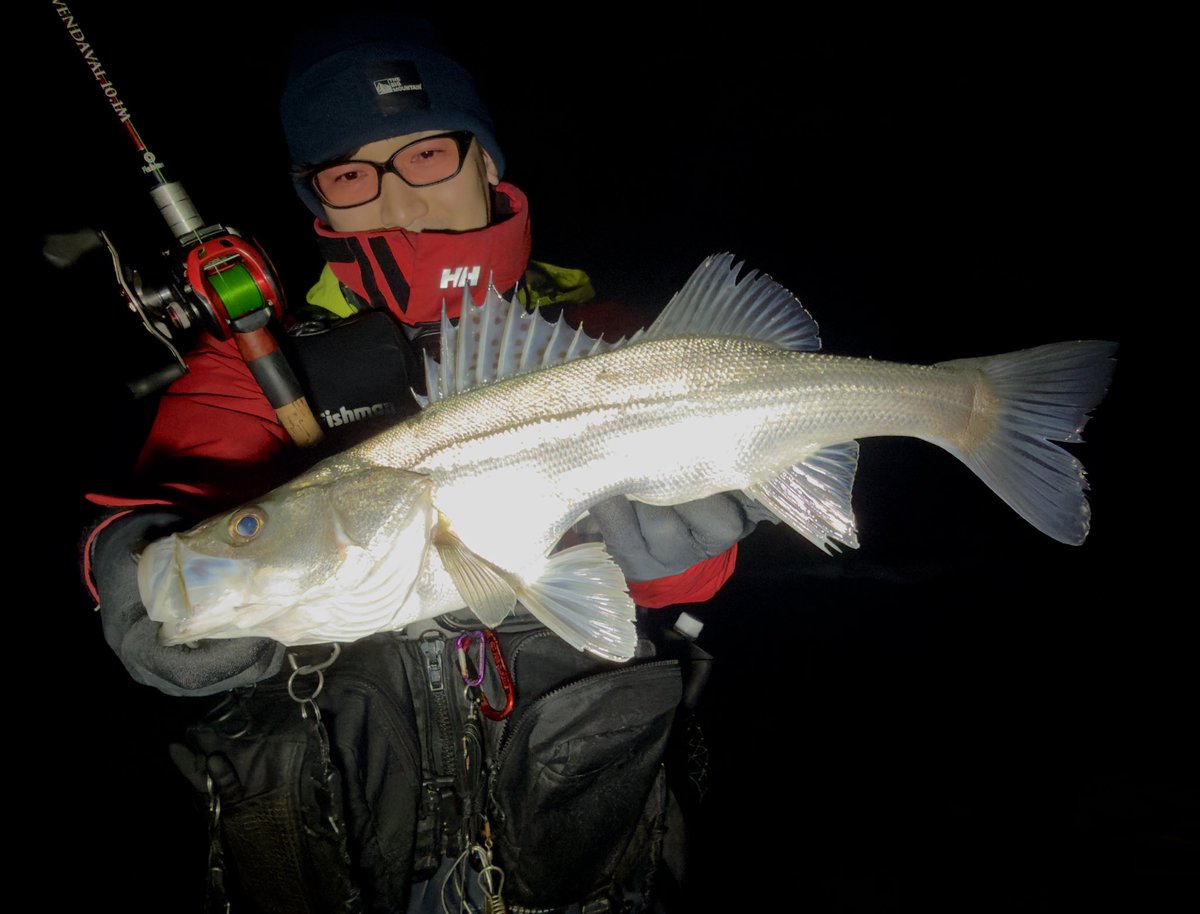 MRYOTA6666's tweet image. ホタルイカパターン🦑

愛知から友人が弾丸日帰りで釣りに来たので、一緒に！
2人で富山の魚綺麗だよなってずっとそんな話しに花咲かせ、お互いシーバスと黒鯛しっかりキャッチして楽しめました☺️

(この幸せな環境に感謝)
#Fishman #BRISTVENDAVAL101M