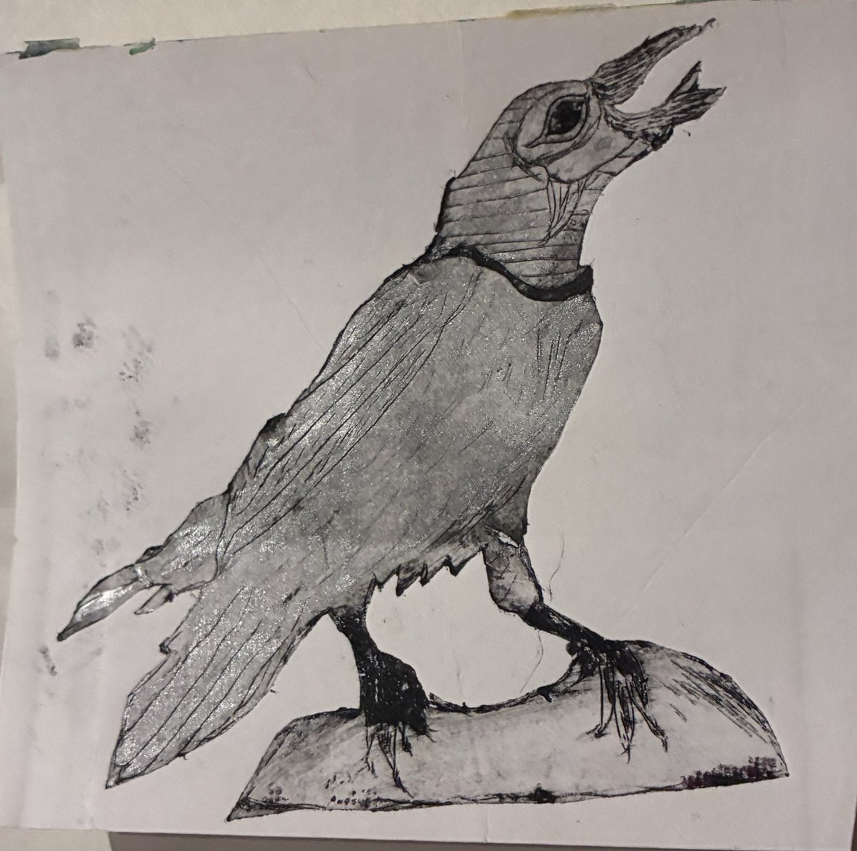 Piula Beard tweet media