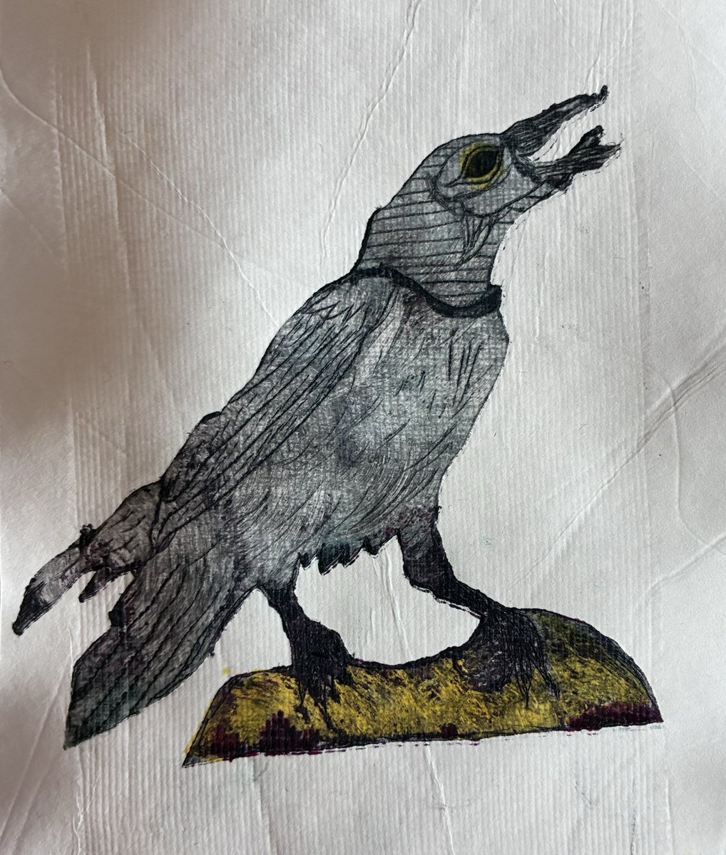 Piula Beard tweet media