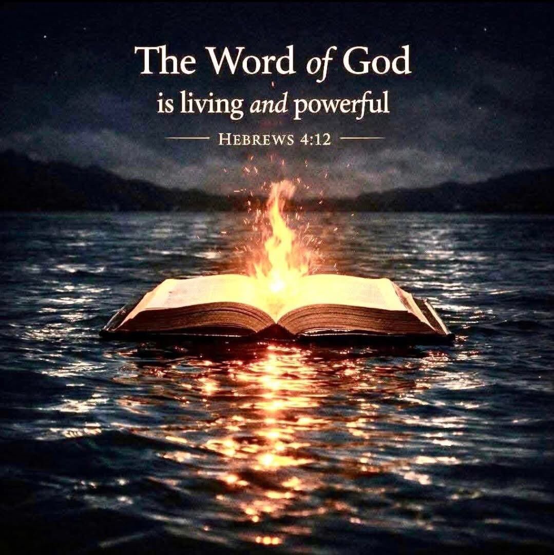 Holly A Howse tweet media