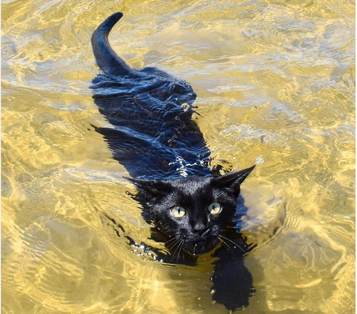 Isa!! 🌺🐌 tweet media