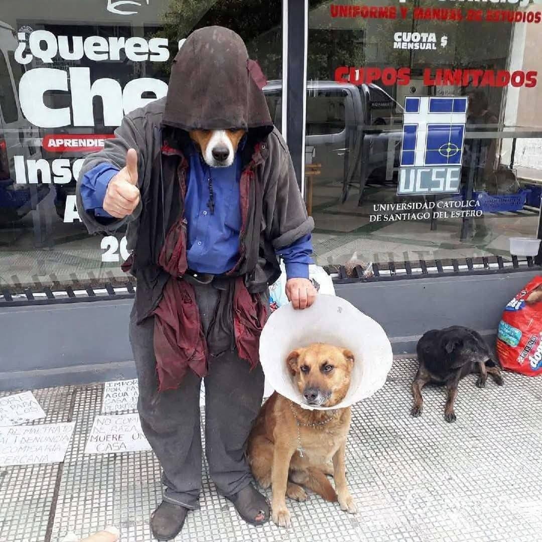 It's Salta tweet media