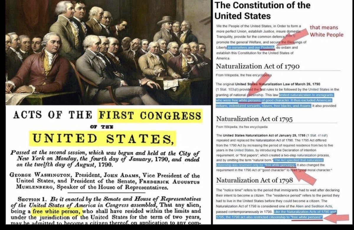 AbsoluteWeimar tweet media