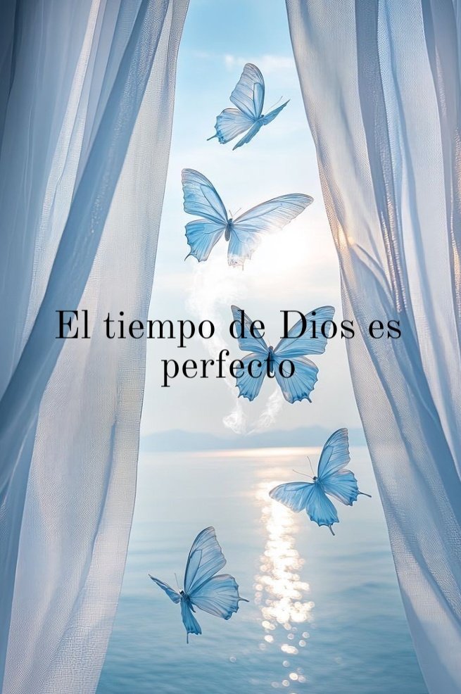 Yaritza Romero✨ tweet media