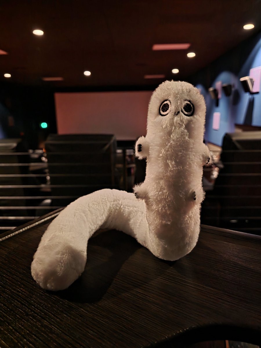 amanda 💫 tweet media