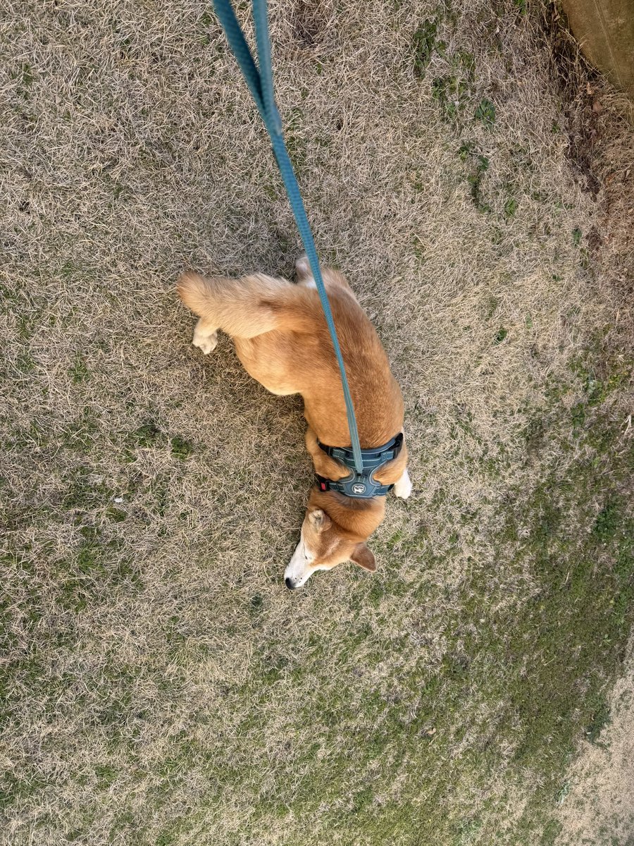 MAX渡辺 tweet media