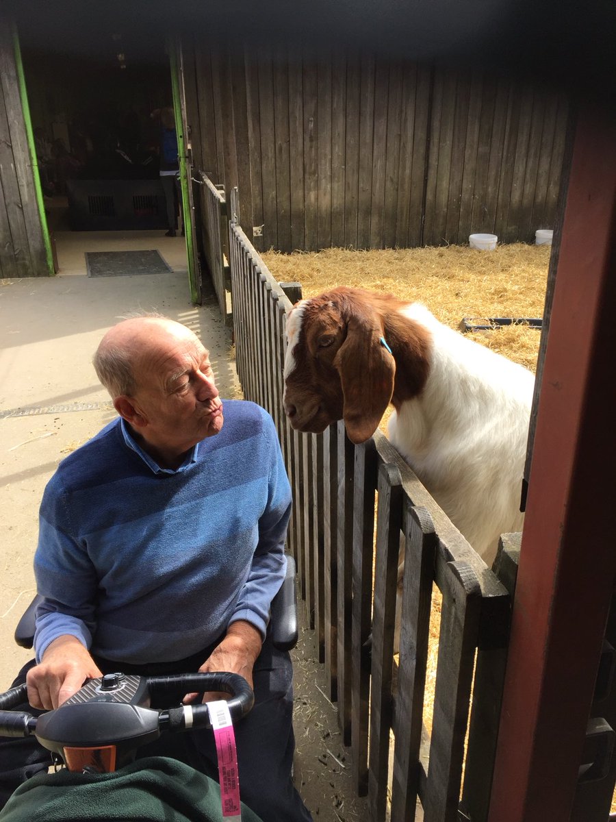 Dr Rich Willis tweet media