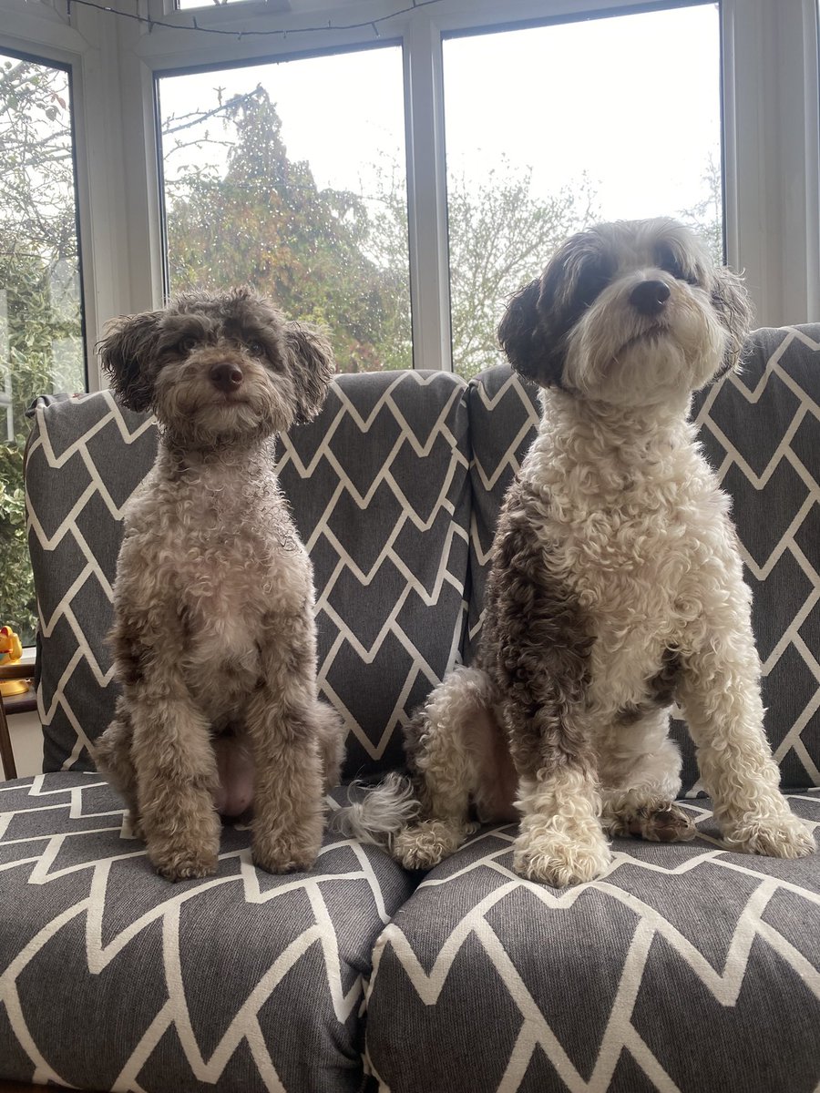 BeMoreBob tweet media