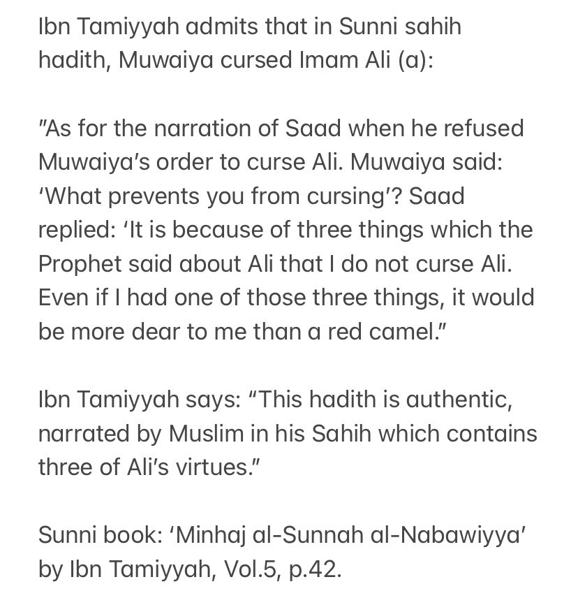 Shani Louk tweet media