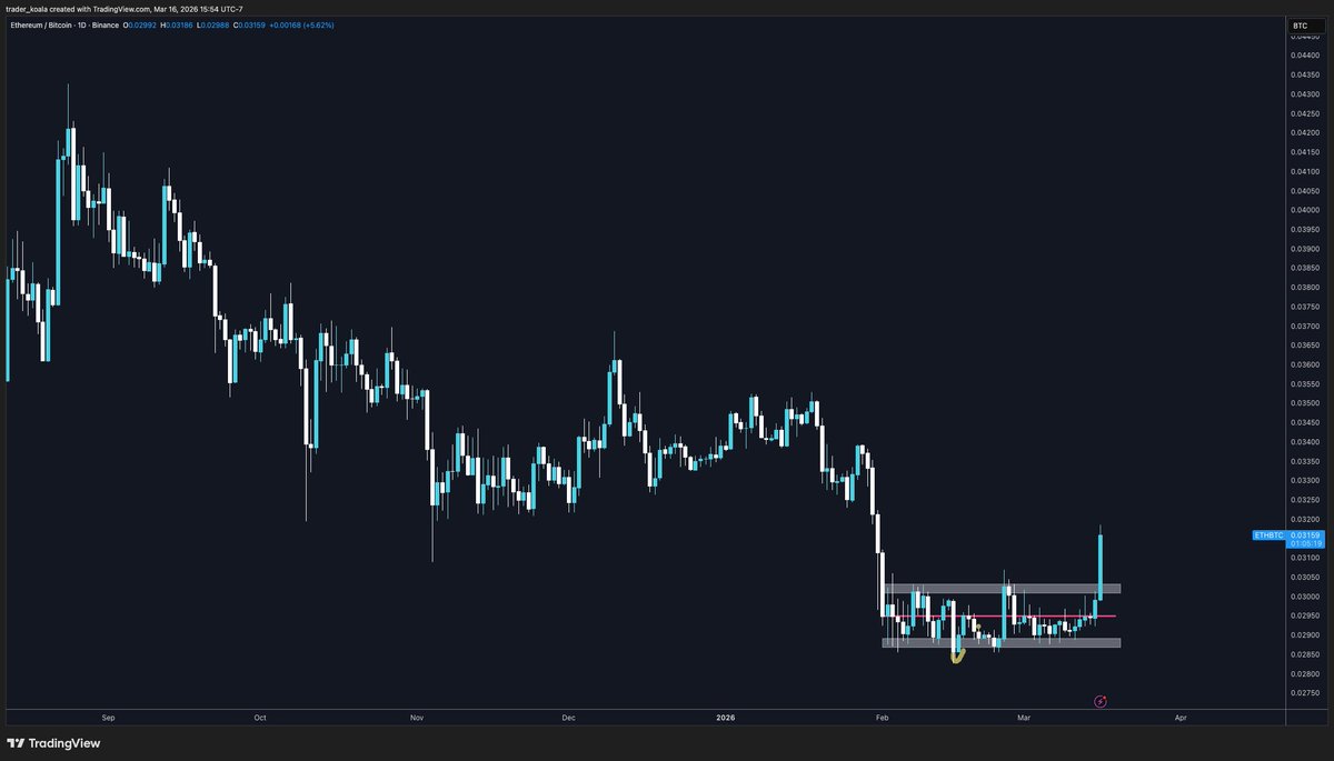 Trader Koala tweet media