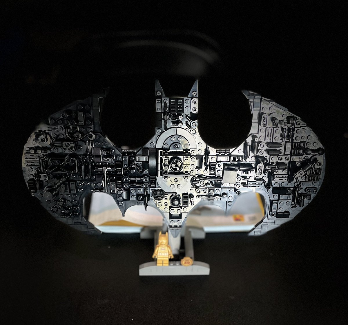 Flighty (とっぴな) tweet media