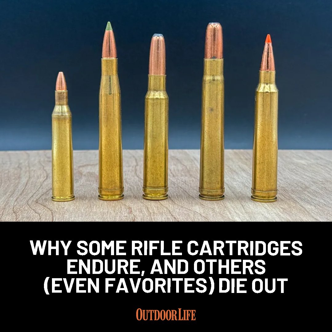 outdoorlife's tweet photo. More than 60 years ago, former shooting editor Jack O'Connor was patiently explaining how and why certain rifle cartridges survive and others die off. Many of his points still ring true today: https://t.co/jUkrYLExrs https://t.co/pNtKhSytem