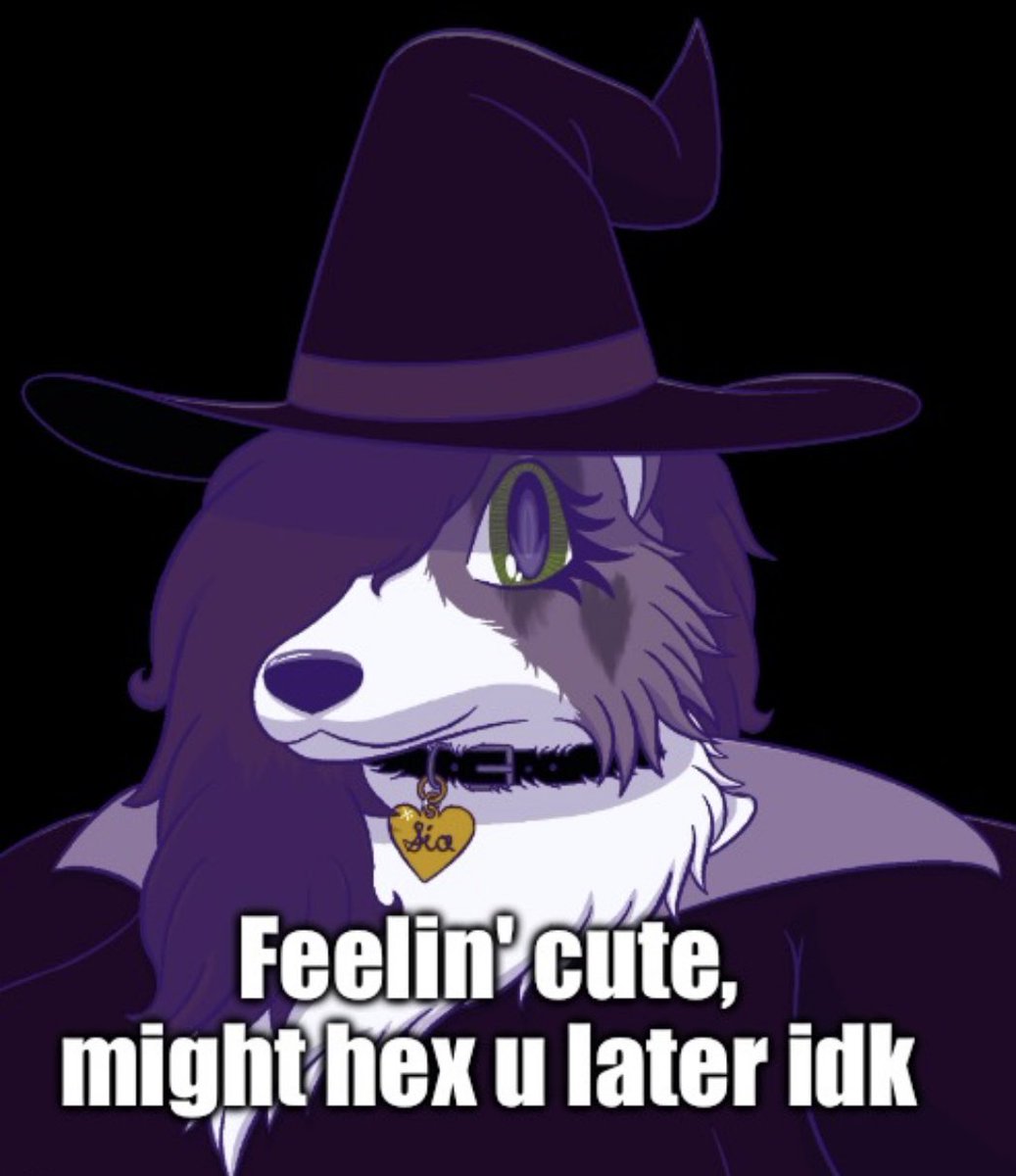 Lulla 🔜 Pawske tweet media