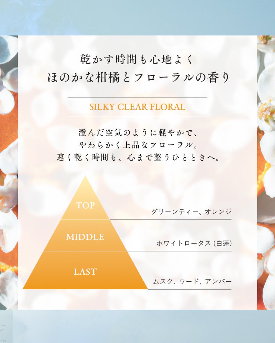 Q+ （クオリタス） tweet media