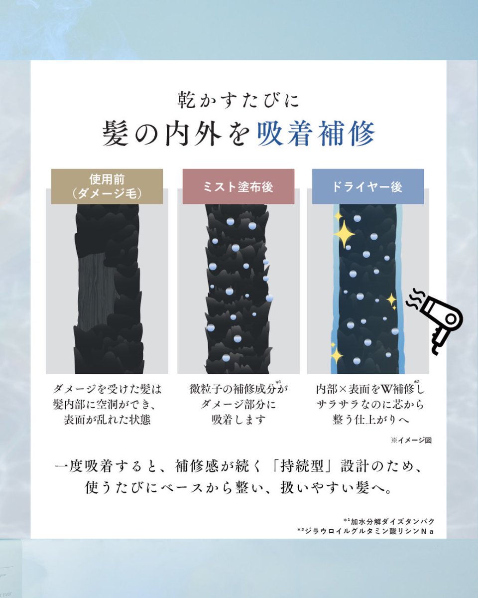 Q+ （クオリタス） tweet media