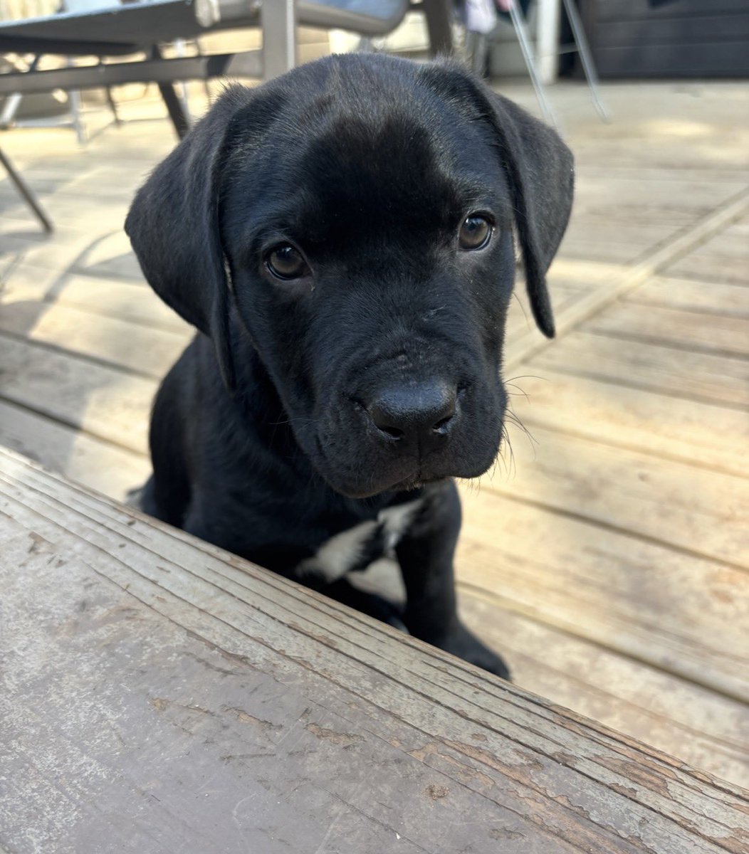 Freddie Kraft tweet media