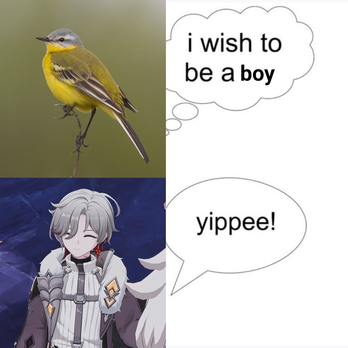 daily illuga 🕯️ tweet media