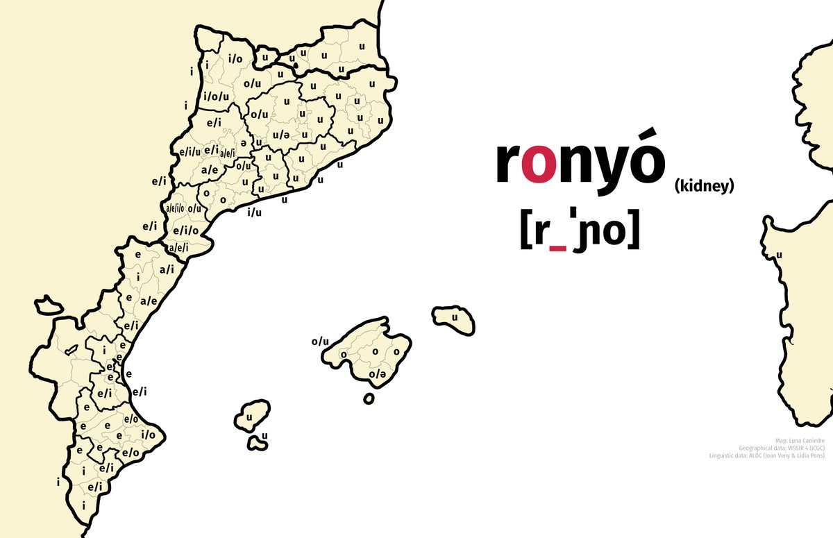 Luna Caoimhe 🌸 tweet media