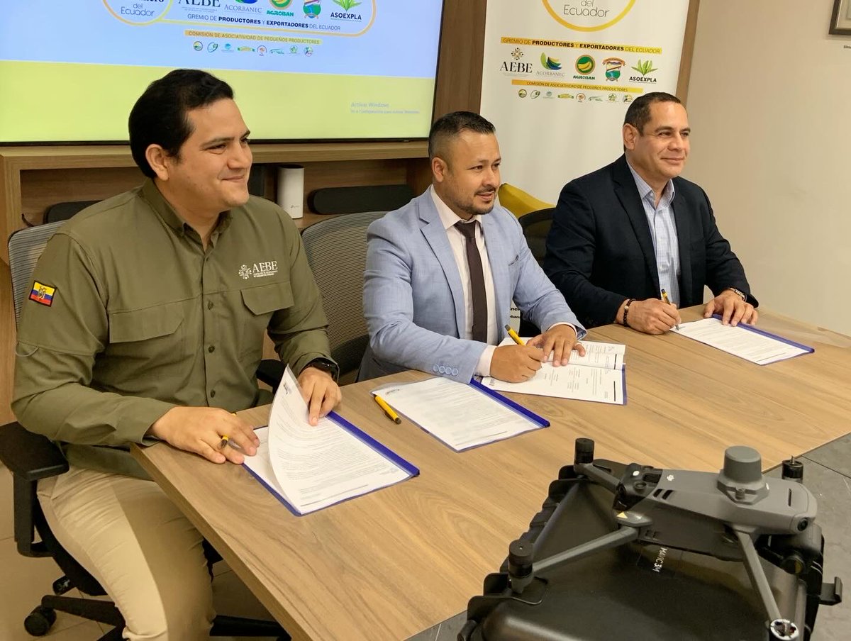 Acorbanec tweet media