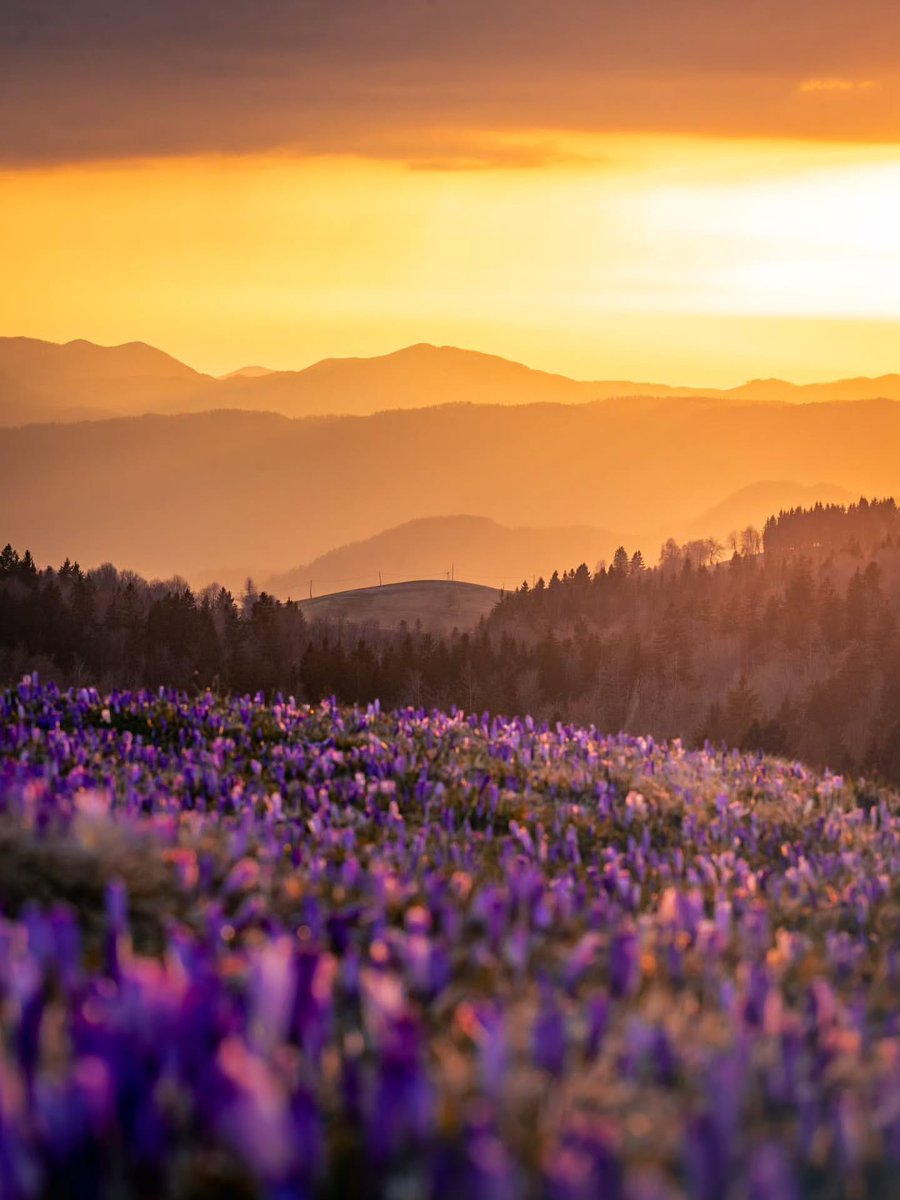 Exploring Slovenia tweet media