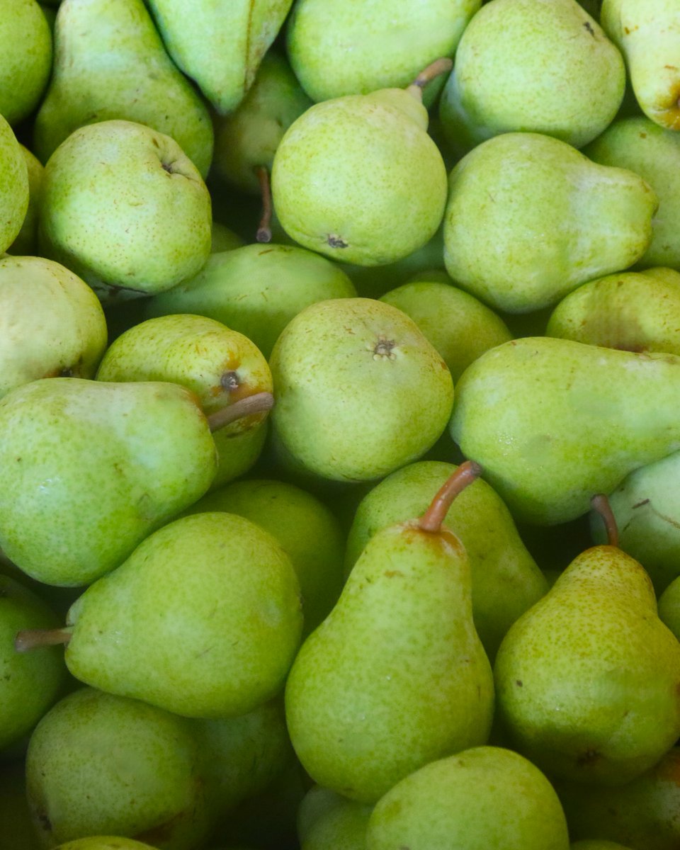 Sacramento Food Bank & Family Services tweet media