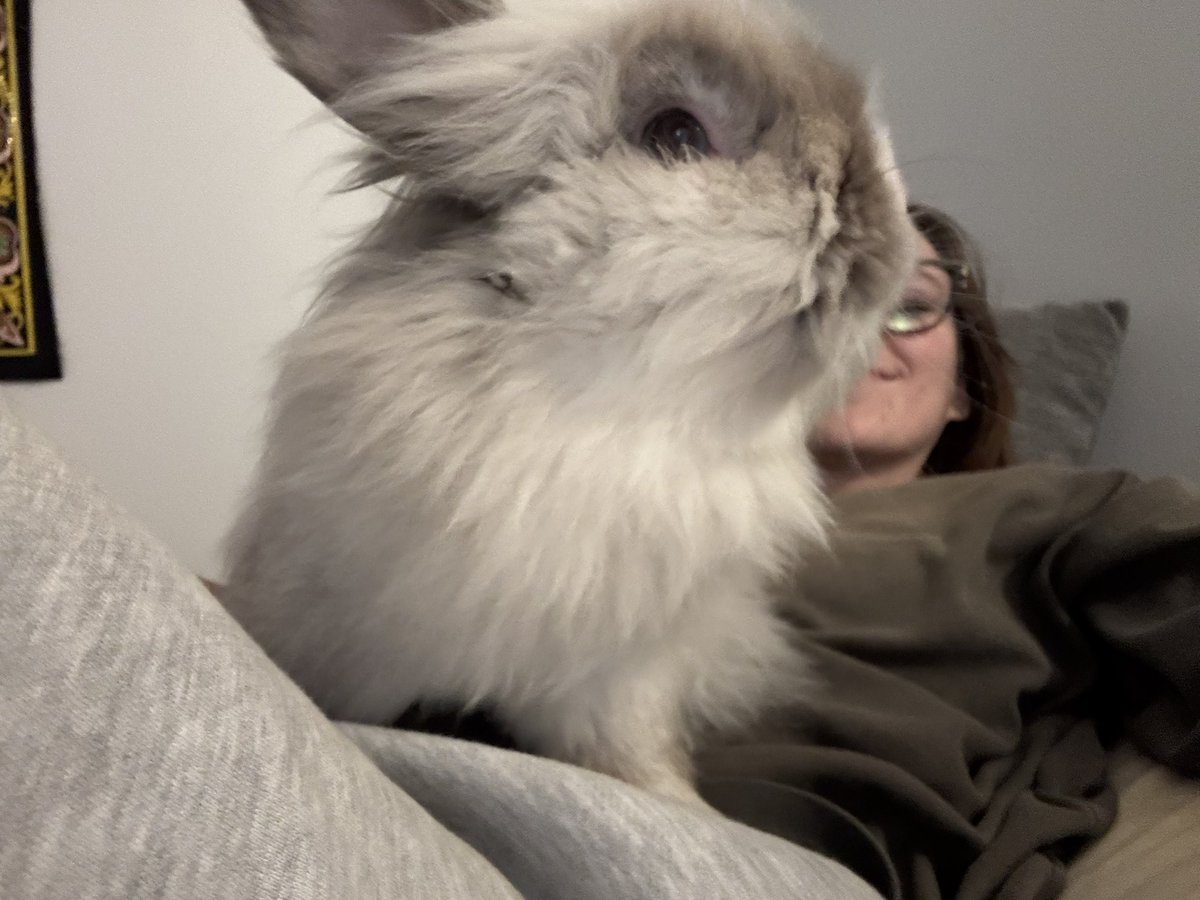 evil beetle soup tweet media